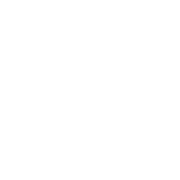 Icon flag